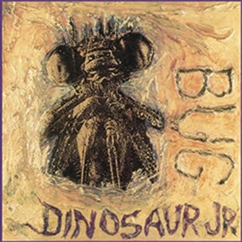 DINOSAUR JR. - Where You Been - Amazon.com Music
